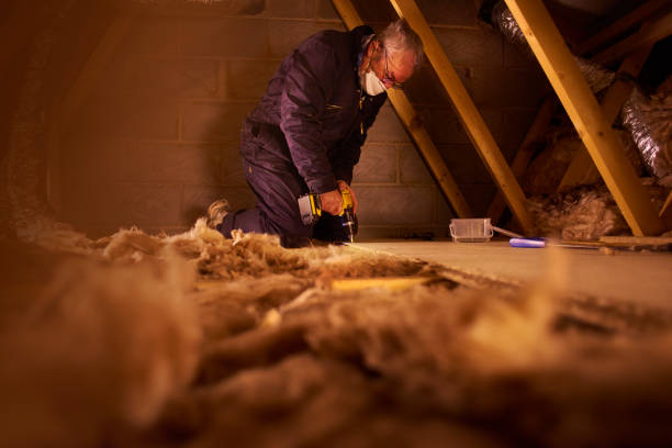 Best DIY Insulation Kits and Guidance in Shannondale, WV